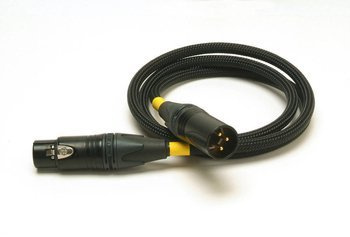 Acoustic Revive DIGITAL-1.0X-tripleC-FM