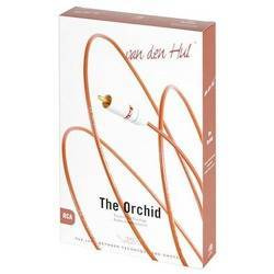 Van den Hul Orchidej - RCA